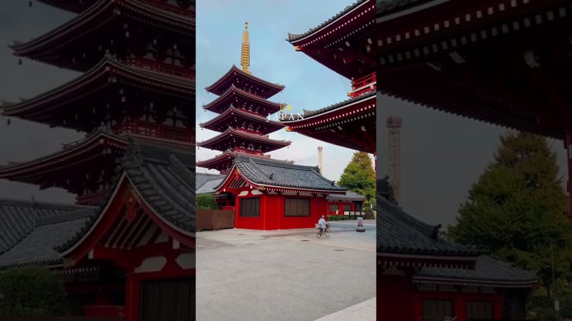 Memories from Japan, one of my best trips ever!! Check video description to get more details Memories from Japan, one of my best trips ever!! Check video description to get more details