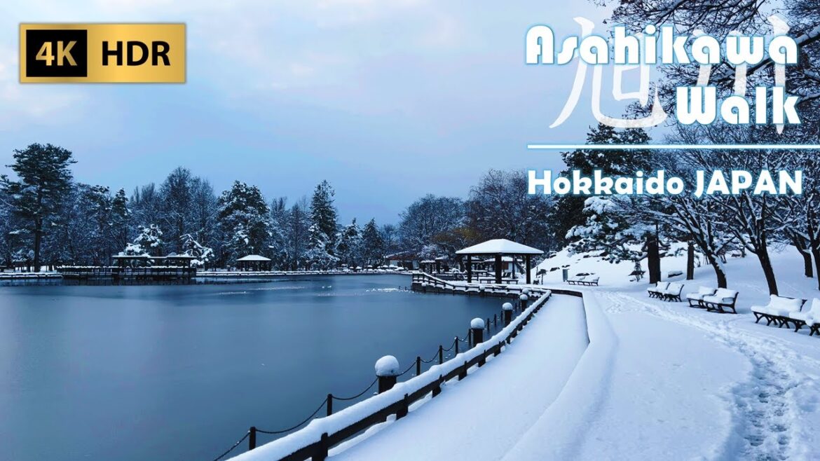 Evening Snow Walk around Asahikawa’s Oldest Park | Hokkaido | Japan | 4K HDR Evening Snow Walk around Asahikawa's Oldest Park | Hokkaido | Japan | 4K HDR