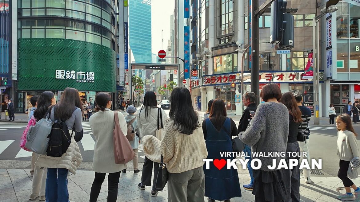 TOKYO CITY WALKING TOUR, Shinjuku, Kabukicho, Cental Road, Shinjuku-sanchome, Japan, Travel, 4K TOKYO CITY WALKING TOUR, Shinjuku, Kabukicho, Cental Road, Shinjuku-sanchome, Japan, Travel, 4K