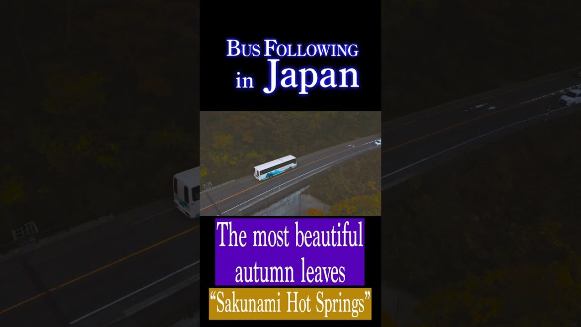 The best autumn leaves in Japan! Bus runs through Sakunami hot spring areas