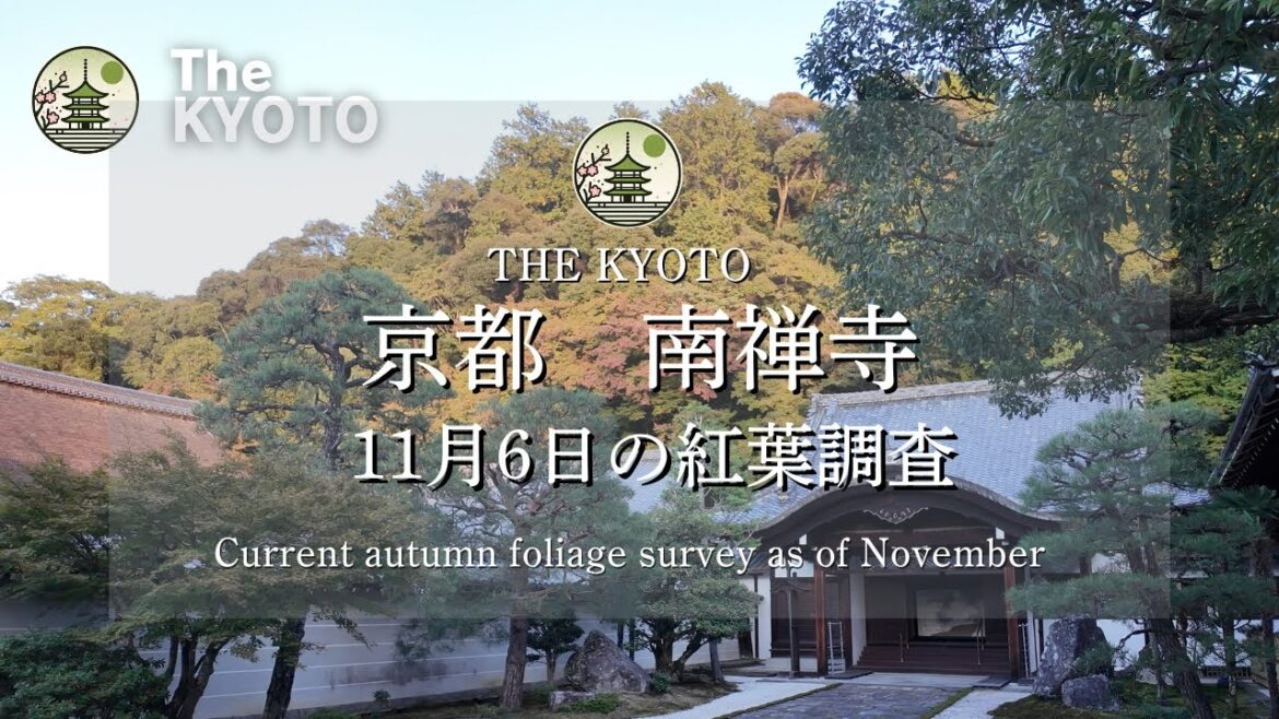 [11月6日撮影]南禅寺の紅葉調査に行ってきた！今年のピークは12月？南禅寺の紅葉状況から見えてくるお得に京都旅行を楽しむには...？
