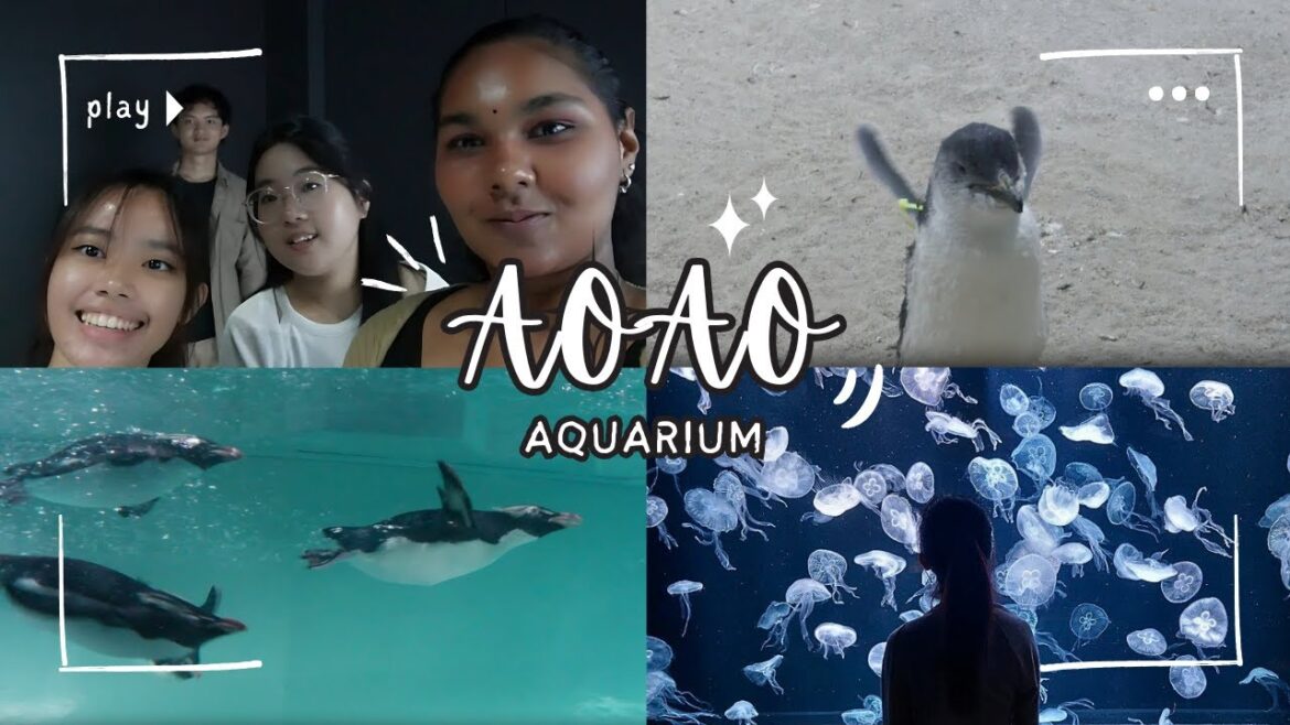 AOAO Sapporo: Serenity in the City