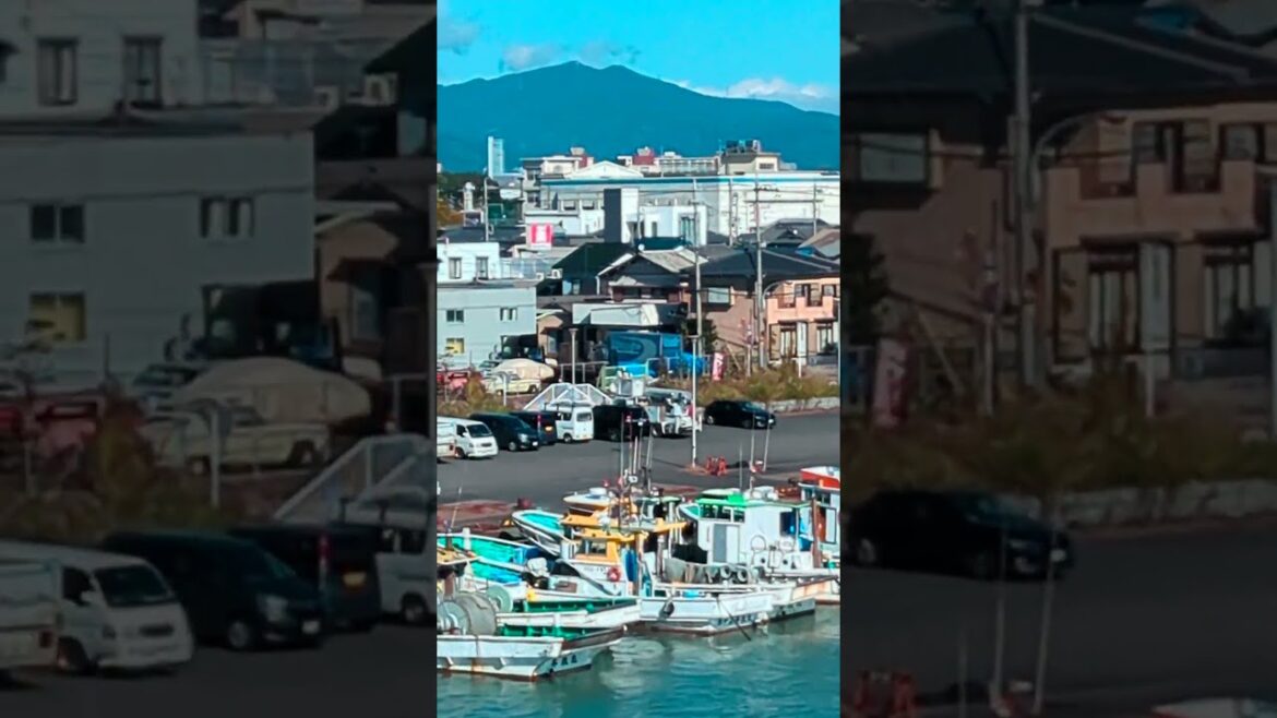 Mt. Fuji seen from Mochimune  (November 27, 2024)    #Japan