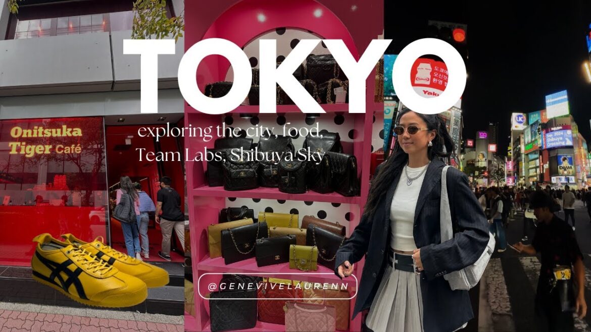 Japan Vlog 2024 | exploring Tokyo: what we ate, Team Labs, Shibuya Sky, Mount Fuji?! Japan Vlog 2024 | exploring Tokyo: what we ate, Team Labs, Shibuya Sky, Mount Fuji?!