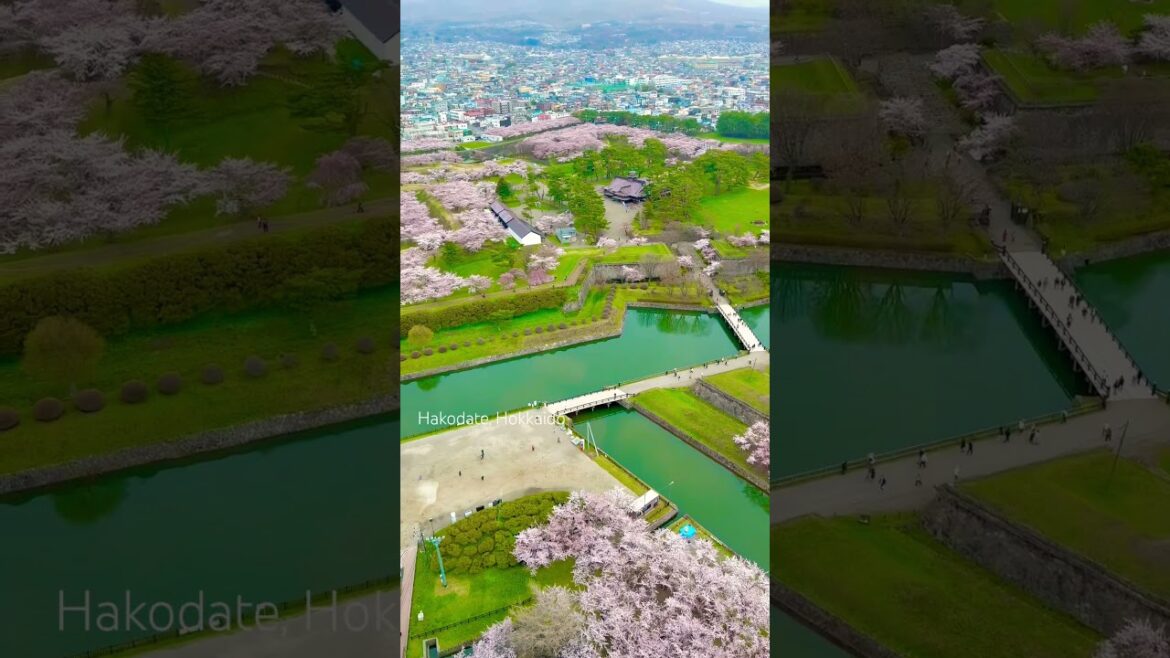 Beautiful place πΈ #love #japan #hokkaido #spring #sakura #travel #beautiful #beautifuldestinations Beautiful place πΈ #love #japan #hokkaido #spring #sakura #travel #beautiful #beautifuldestinations