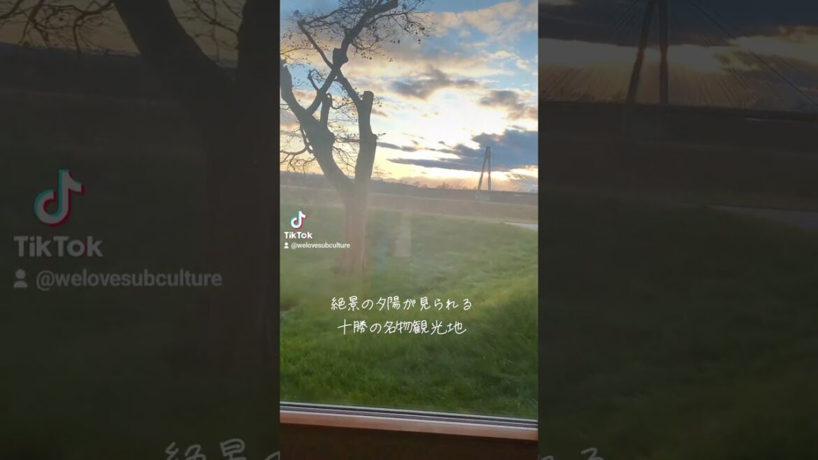 十勝川温泉第一ホテル豊洲亭豆陽亭#モール温泉#十勝川温泉