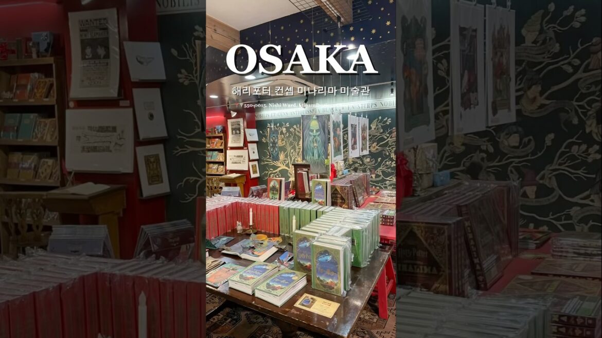 [Osaka 여행🇯🇵] 크리스마스 분위기 물씬 해리포터 컨셉 미술관 더 자세한 정보는 고정댓글 확인해주세요👉🏻 #오사카브이로그 #오사카여행 #오사카가볼만한곳 #해리포터미술관