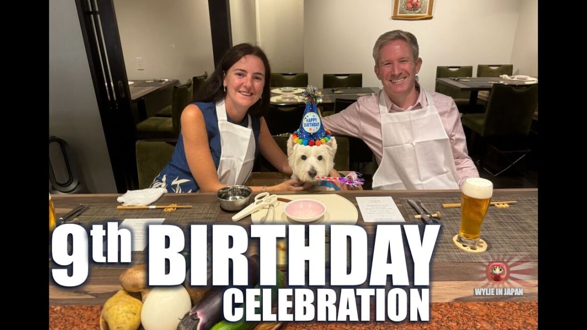 9th Birthday Bash: Wagyu Beef Teppanyaki Feast! | Celebrating In Style | ペットokの鉄板 9th Birthday Bash: Wagyu Beef Teppanyaki Feast! | Celebrating In Style | ペットokの鉄板