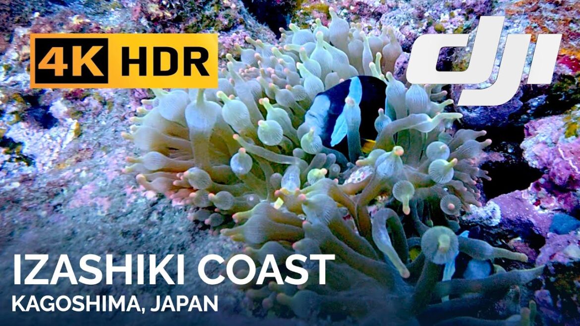 4K Izashiki Coast, Kagoshima, Japan 4K Izashiki Coast, Kagoshima, Japan
