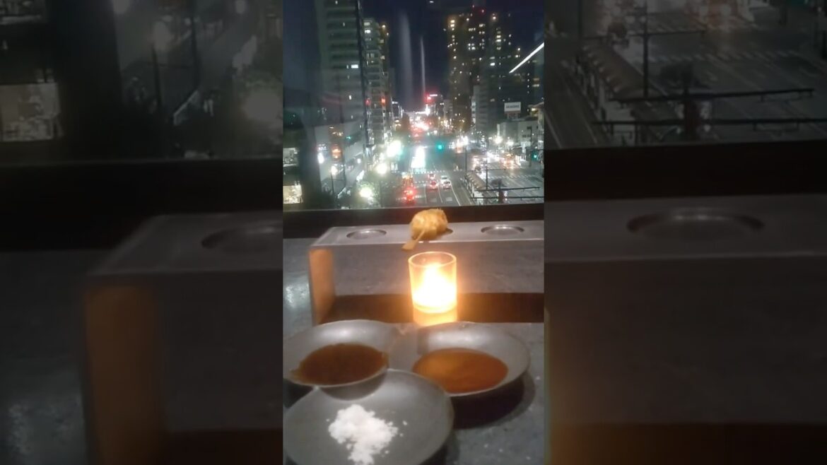 岡山グルメ 夜景が最高に綺麗なお店 串兵衛 #Shorts
