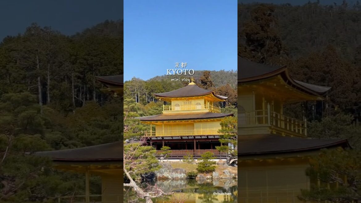 Kyoto Vlog | Kinkaku-ji, Higashiyama, Kenninji Temple  #travel #japan #kyoto #travelvlog #vlog