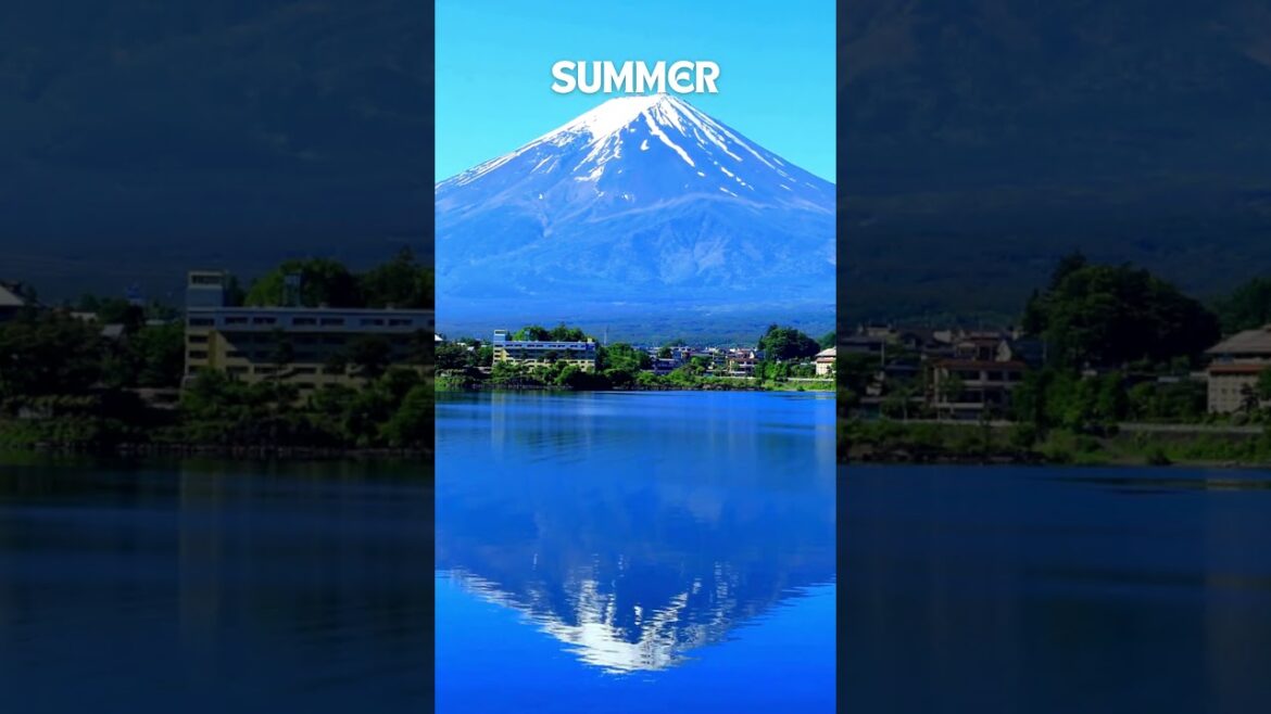 Exploring Mount Fuji: A Year in Four Seasons #mountfuji #mountfujiview #japantravel #japan Exploring Mount Fuji: A Year in Four Seasons #mountfuji #mountfujiview #japantravel #japan