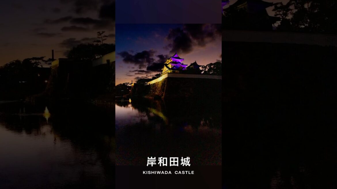 #KishiwadaCastle（ #Osaka  ） ｜#Japan #Castle #shorts