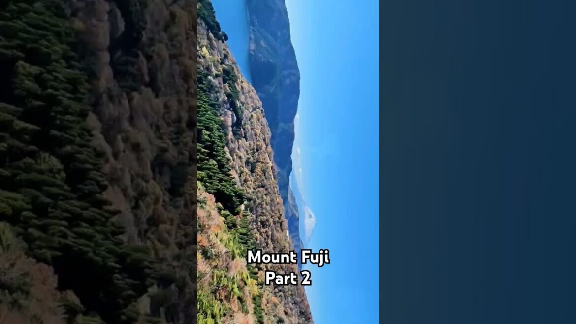Mount Fuji & Hakone Part 2