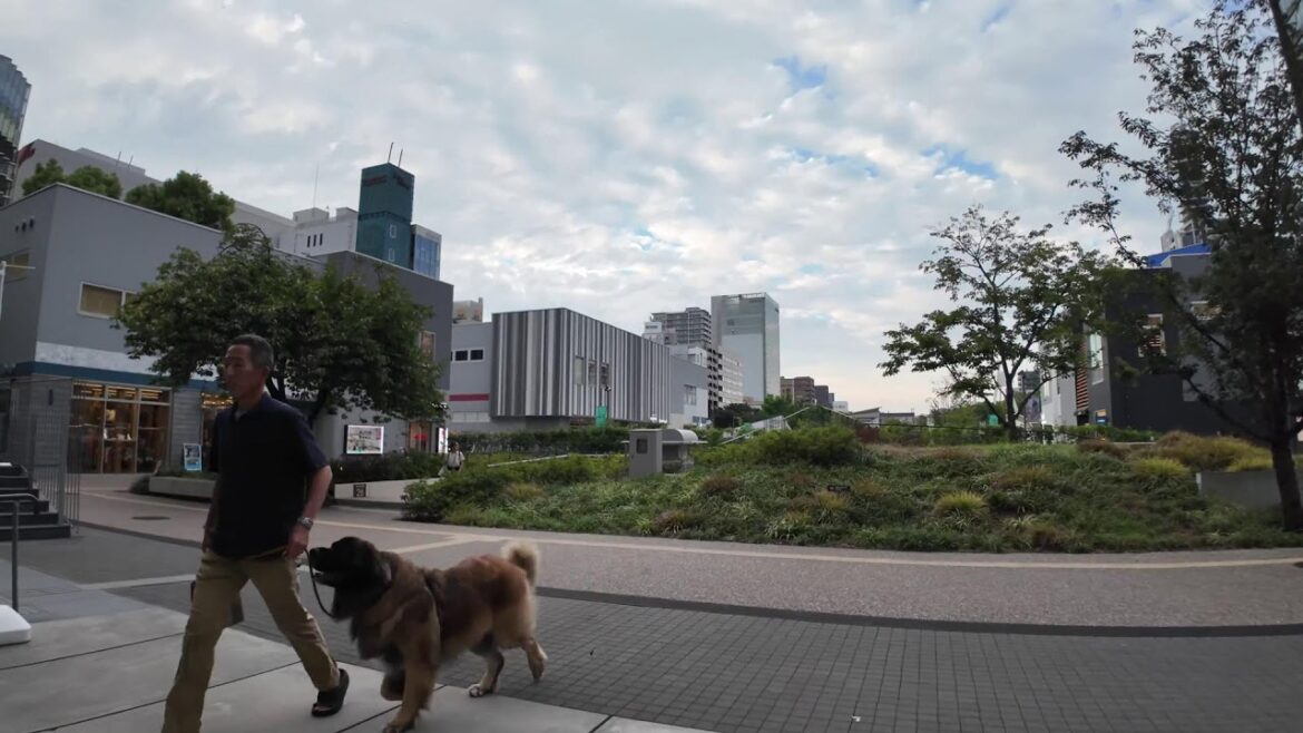 Japan: Hisaya Odori Park and MIRAI TOWER in Nagoya |Walking Tour Japan: Hisaya Odori Park and MIRAI TOWER in Nagoya |Walking Tour