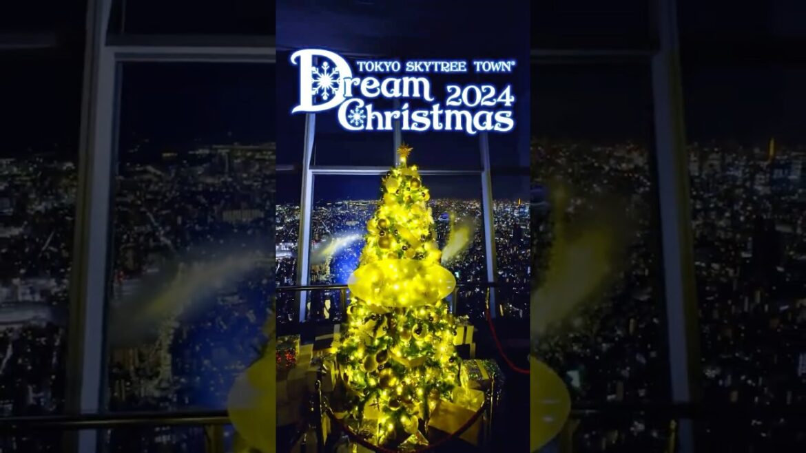 Tokyo Skytree Dream Christmas 2024