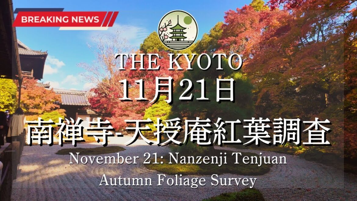 【速報】11月21日(木)の南禅寺、天授庵の紅葉状況！京都の紅葉状況を最速でお届け！