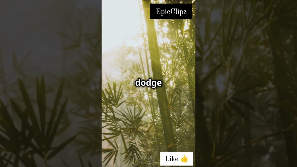 Top 5 Must-Visit Natural Wonders in Japan! 🗻🗻 🎍 Top 5 Must-Visit Natural Wonders in Japan! 🗻🗻 🎍