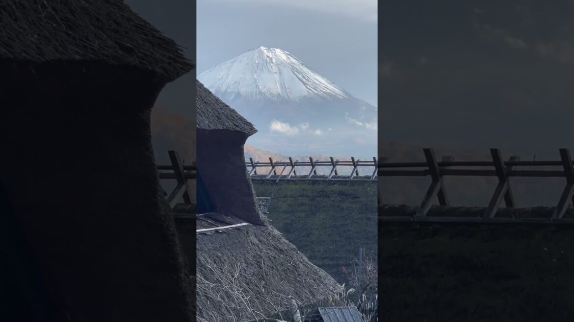 Mount Fuji View of Japan 🇧🇷in🇯🇵 2024📸🗻#shortsyoutube
