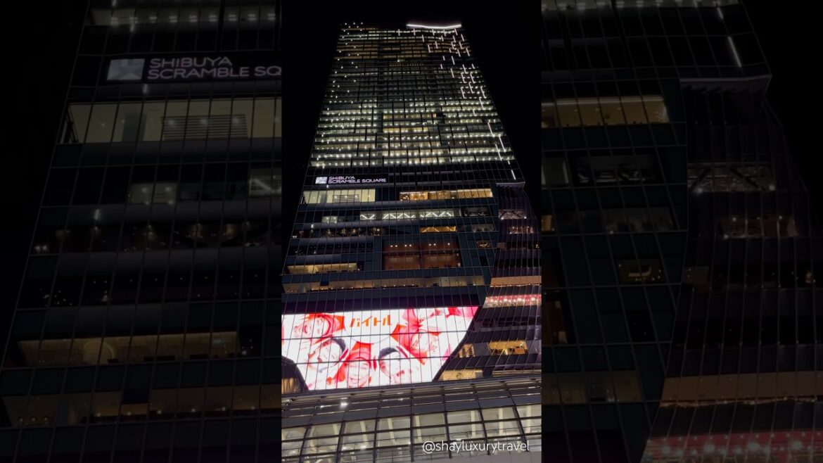 Let’s travel to Japan in 2025! 🇯🇵 Have the best Japanese Trip with me Japan Vacation Travel Guide