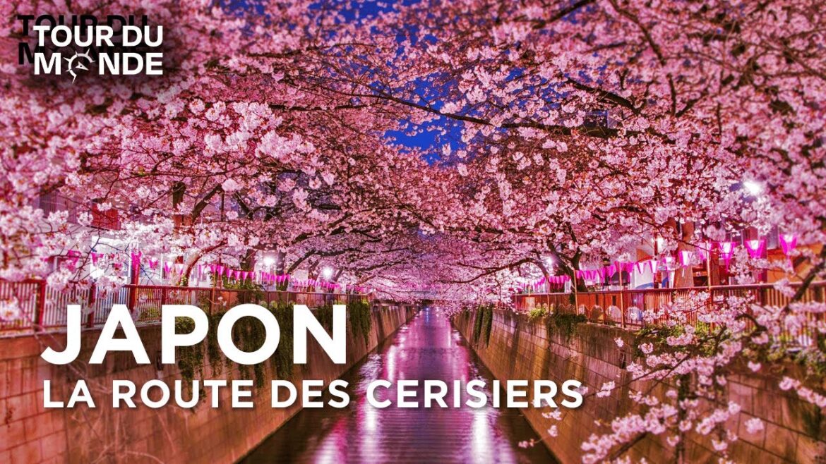 JAPON⎮La beauté des cerisiers : Au Cœur des Traditions – Routes mythiques – Documentaire – BT JAPON⎮La beauté des cerisiers : Au Cœur des Traditions - Routes mythiques - Documentaire - BT