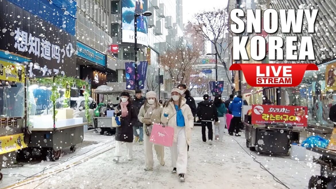 Live Korea Seoul π°π· Walk Tour Seoul π Exciting Korea Night Street Walking | Snow Myeongdong Street Live Korea Seoul π°π· Walk Tour Seoul π Exciting Korea Night Street Walking | Snow Myeongdong Street