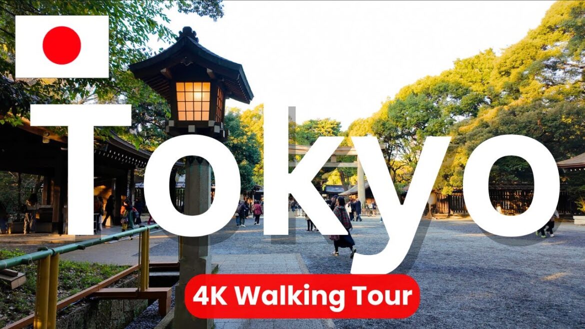 Tokyo: Walking Tour of Meiji Jingu Shrine Tokyo: Walking Tour of Meiji Jingu Shrine