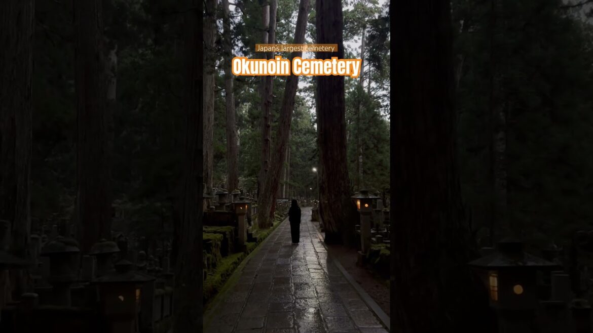 Have you been here??? #okunoincemetery  #japan #japanroadtrip #wakayama