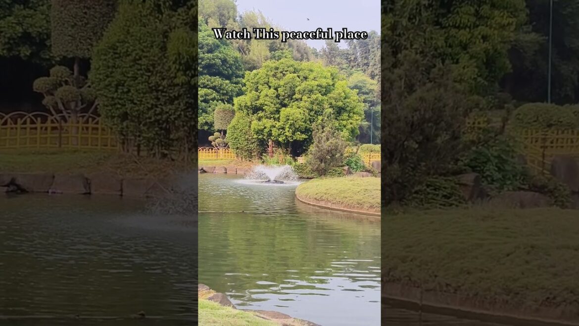 Okayama garden #peace #hindisong #nature