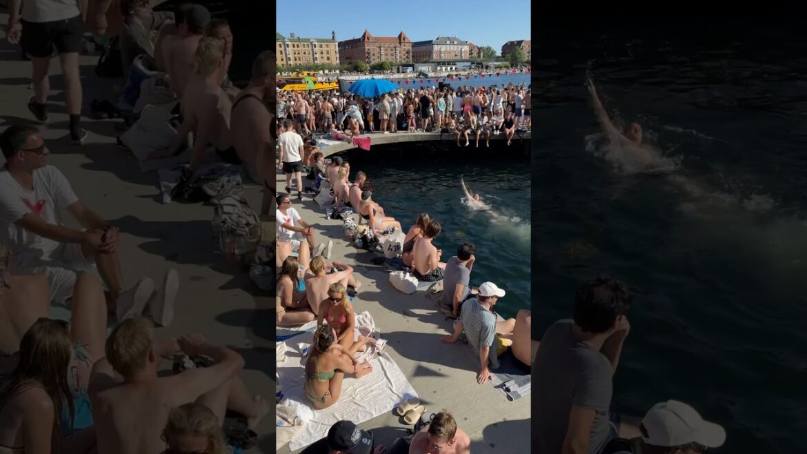 One Hot Day At Kalvebod Brygge Harbor Beach, Summer Party 2024, Copenhagen, Denmark #Bikini #Beach