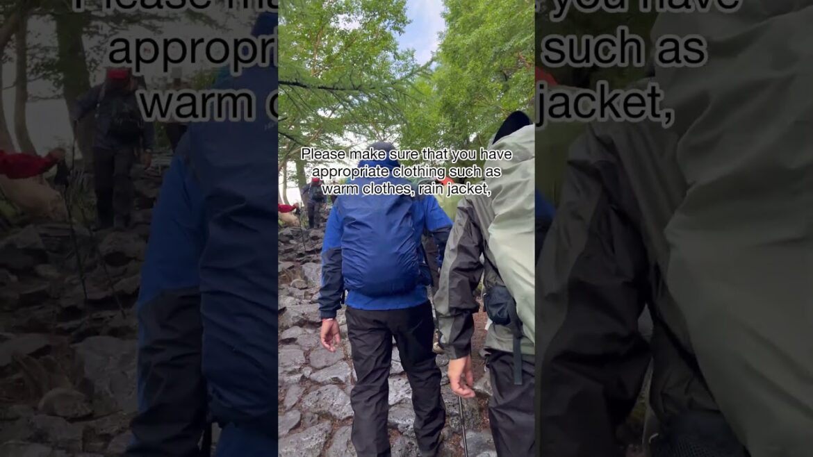 How to climb Mt Fuji
