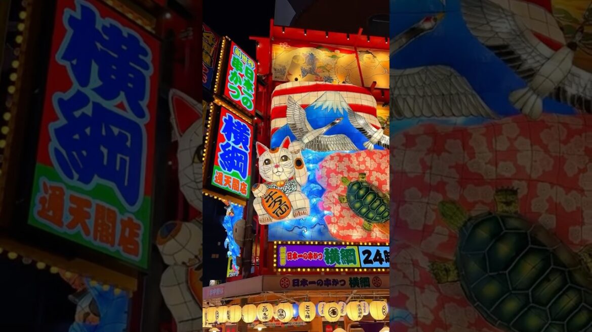 Japan Osaka street #travel #japan #osaka #japan #shortsviral