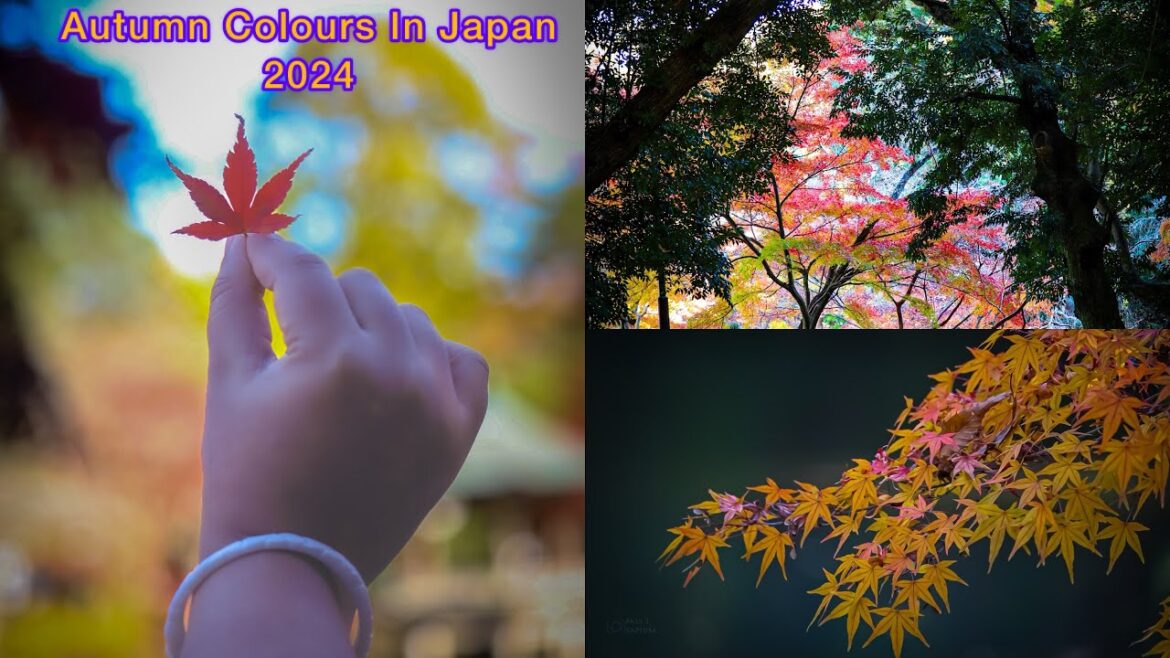 Japan In Autumn।।Naritasan Senso-Ji Temple।। Narita Park Autumn View।।Autumn 2024।।Narita।।Vlog।।