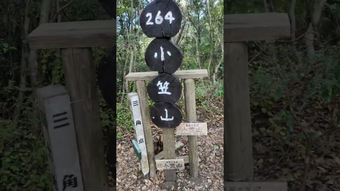 小笠山（静岡県）～六枚屏風