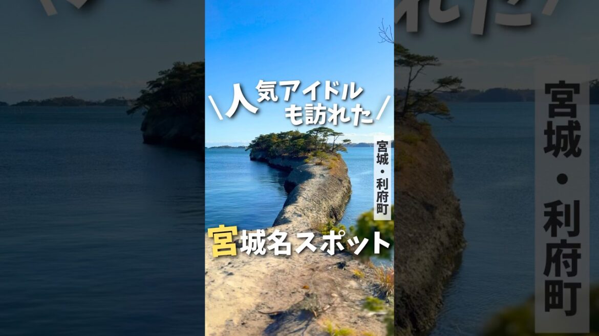 【宮城旅行】あの人気アイドルも訪れた名スポット🐎#宮城旅行 #仙台旅行 #宮城観光 #馬の背 #miyagi #sendai #japantravel #japantrip #shorts