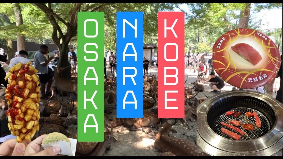 Osaka, Nara ve Kobe, JAPONYA DÖNÜŞ BİLETİM TAYFUN SEBEBİYLE İPTAL OLDU Osaka, Nara ve Kobe, JAPONYA DÖNÜŞ BİLETİM TAYFUN SEBEBİYLE İPTAL OLDU