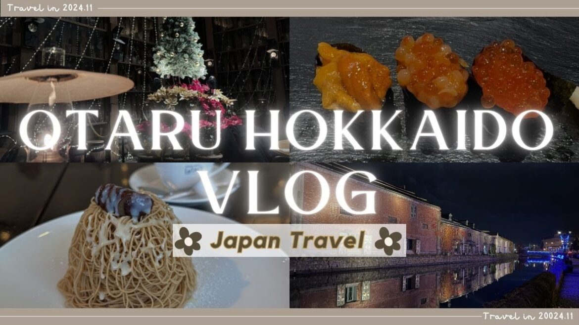 Otaru Trip: Delicious Sushi, Sweets, and Local Gems! | Japan Travel by Japanese