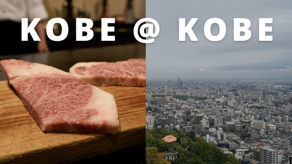 Kobe Day Trip | The Japans Travel Vlog 2024 | EP18 Kobe Day Trip | The Japans Travel Vlog 2024 | EP18