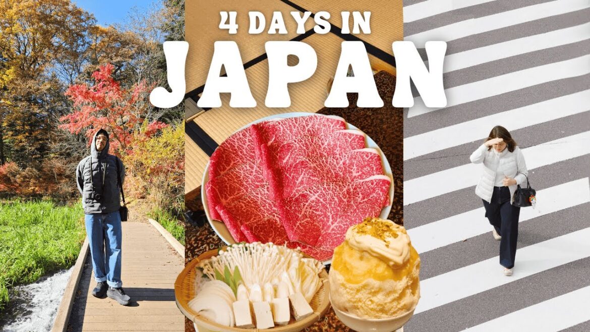 4 Days in Japan Vlog with UNIQLO ๐ฏ๐ต Tokyo Travel Itinerary, Shinjuku, Harajuku, Nagano, Karuizawa 4 Days in Japan Vlog with UNIQLO ๐ฏ๐ต Tokyo Travel Itinerary, Shinjuku, Harajuku, Nagano, Karuizawa
