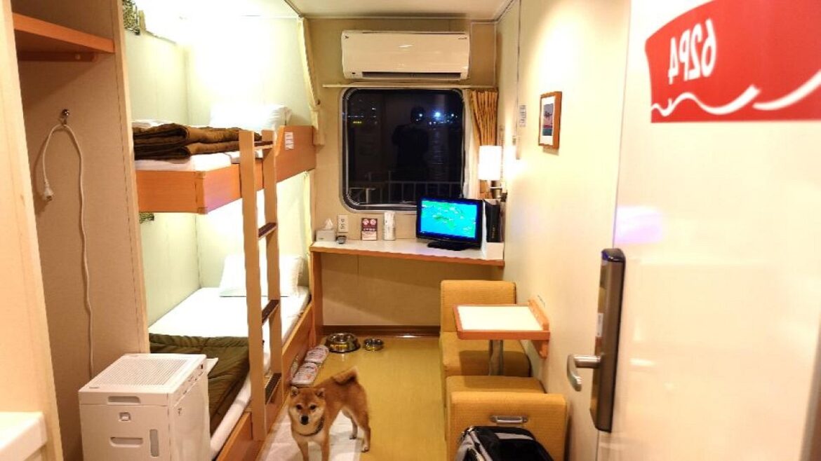 さんふらわあフェリーで行く寝台個室の旅!神戸から大分へ12時間の船旅|豆柴犬|Japanese ferry trip さんふらわあフェリーで行く寝台個室の旅!神戸から大分へ12時間の船旅|豆柴犬|Japanese ferry trip