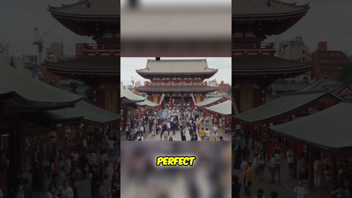 Discover TOKYO's Hidden GEMS in Asakusa! #tokyo #asakusa #sensojitemple #NakamiseStreet