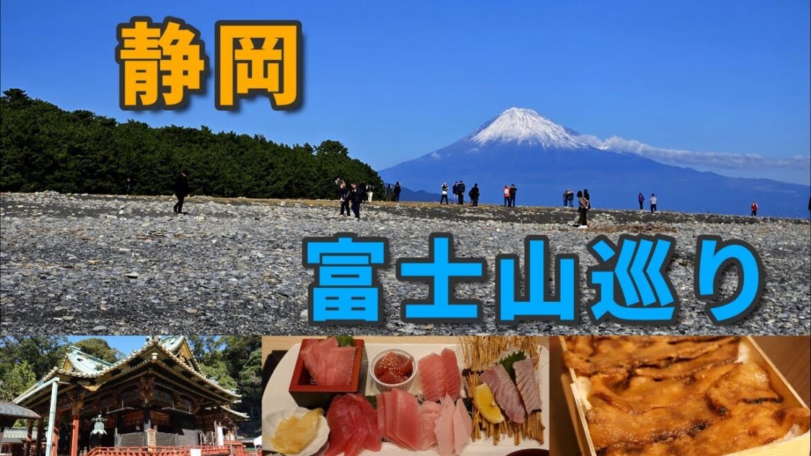 【静岡】こだまで行く、富士山を見ながら観光地を巡る旅