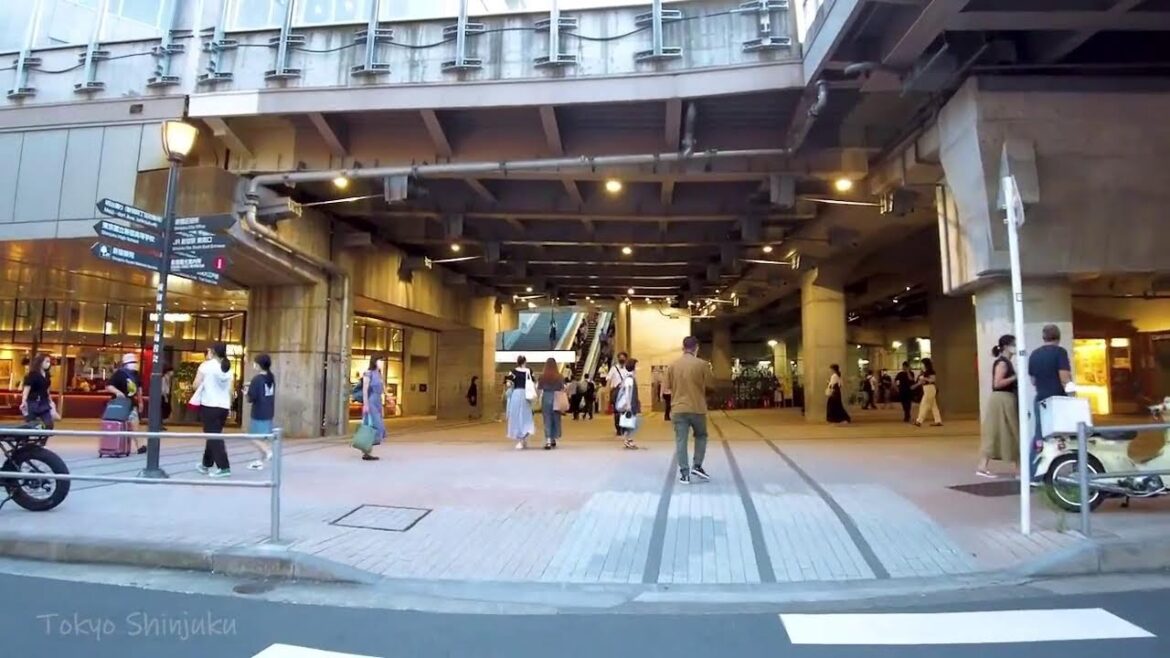 🔴Tokyo Walk Arrange 24/7🐶Akihabara, kabukicho, Shibuya , etc.