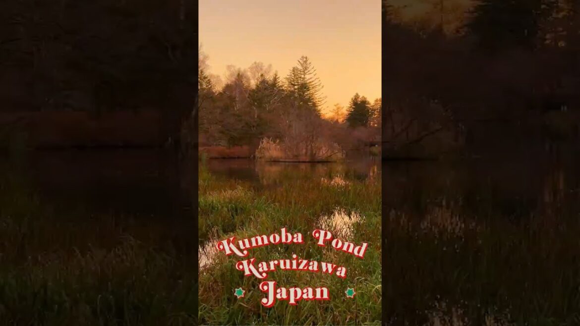 Kumoba Pond in Karuizawa, Nagano Prefecture.  #shortsviral #travel #karuizawa #shortsyoutube