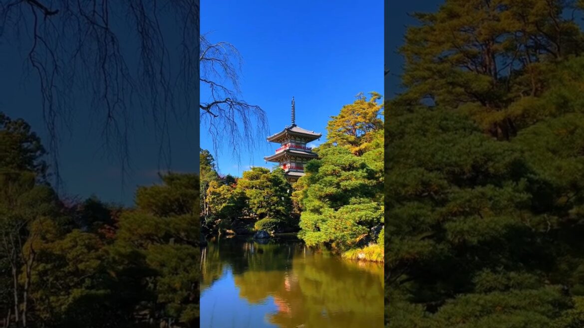 Rinno-ji (Miyagi) / 輪王寺 まだ緑が目立ちますが、綺麗でした🤩 #宮城 #仙台 #東北 #輪王寺 #紅葉 #japan