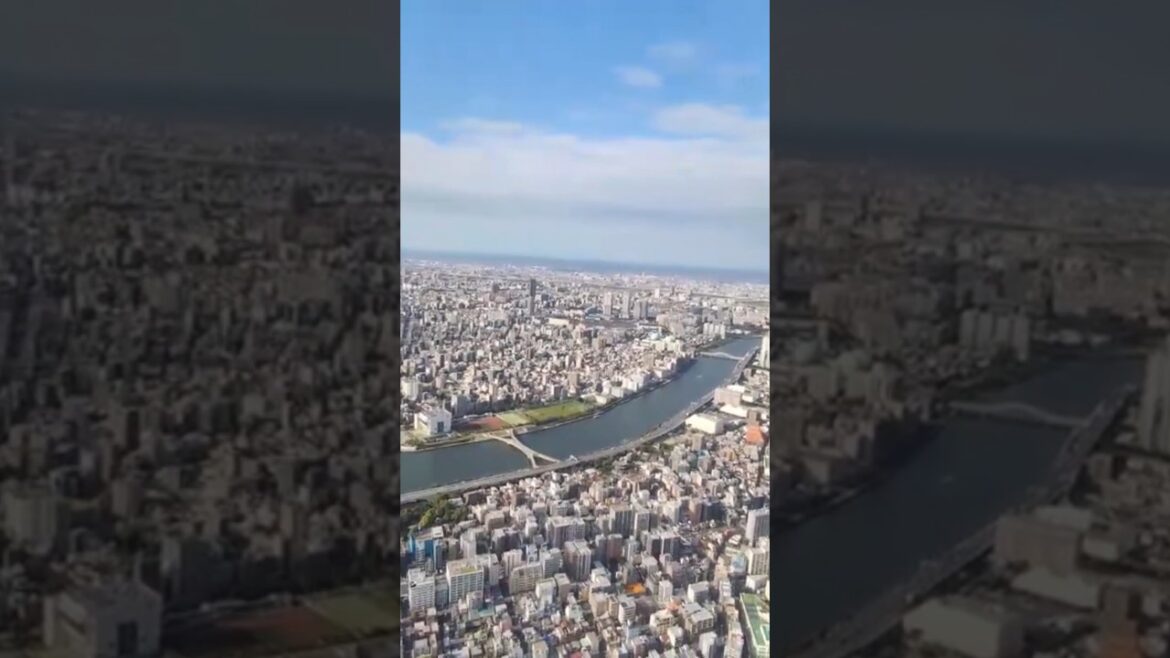 The Skytree is the tallest building in Tokyo #TRAVEL #EXPLORE #TOKYO
