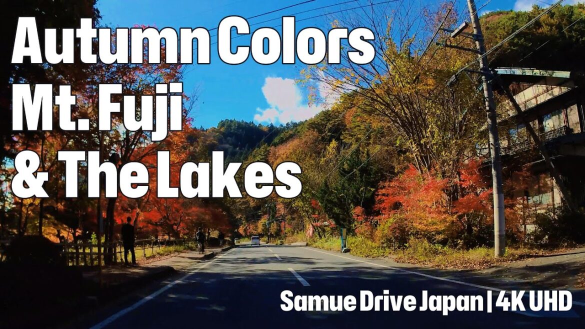 4K Scenic Drive: Autumn Colors, Mt. Fuji & The Lakes 2024 4K Scenic Drive: Autumn Colors, Mt. Fuji & The Lakes 2024