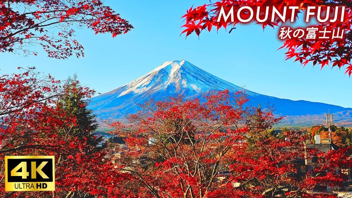 【4K Japan Walk】Walk around 5 spots where you can enjoy beautiful autumn scenery around Mt. Fuji
