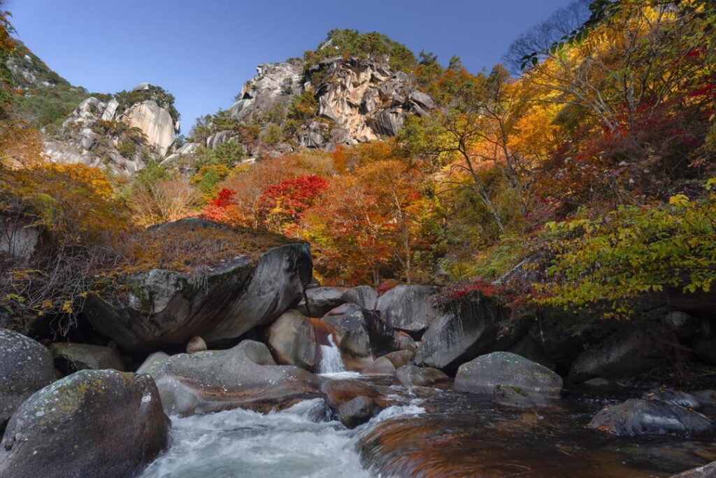 Finally peak leaves at Shosenkyo Valley, Yamanashi Prefecture