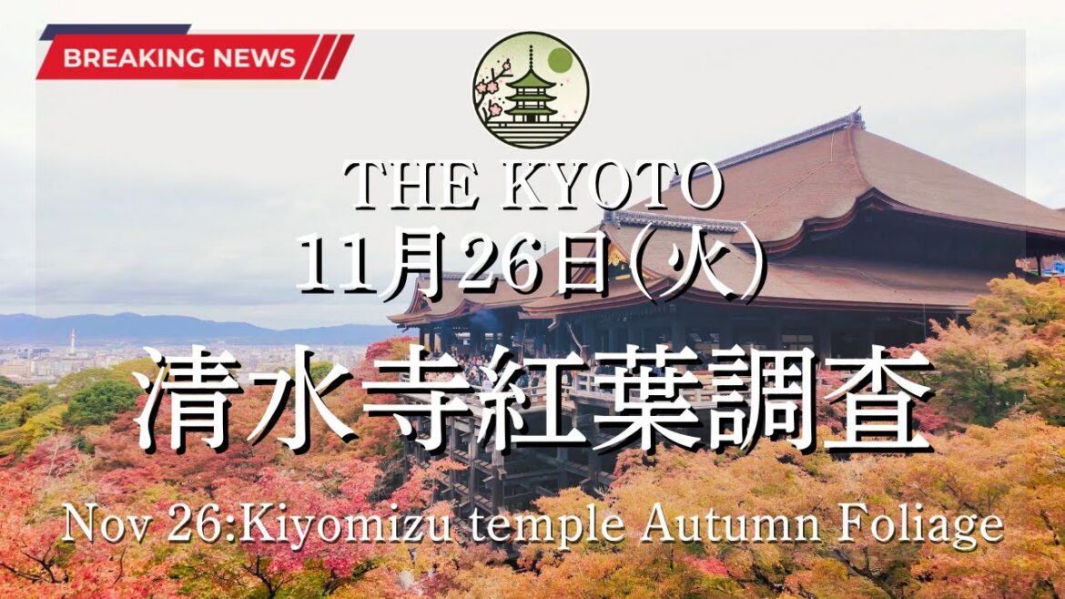 【速報】11月26日(火)の清水寺の紅葉状況！京都の紅葉状況を世界最速でお届け！